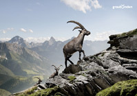 advertising photo of hannes kutzler 