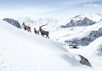 advertising photo of hannes kutzler 